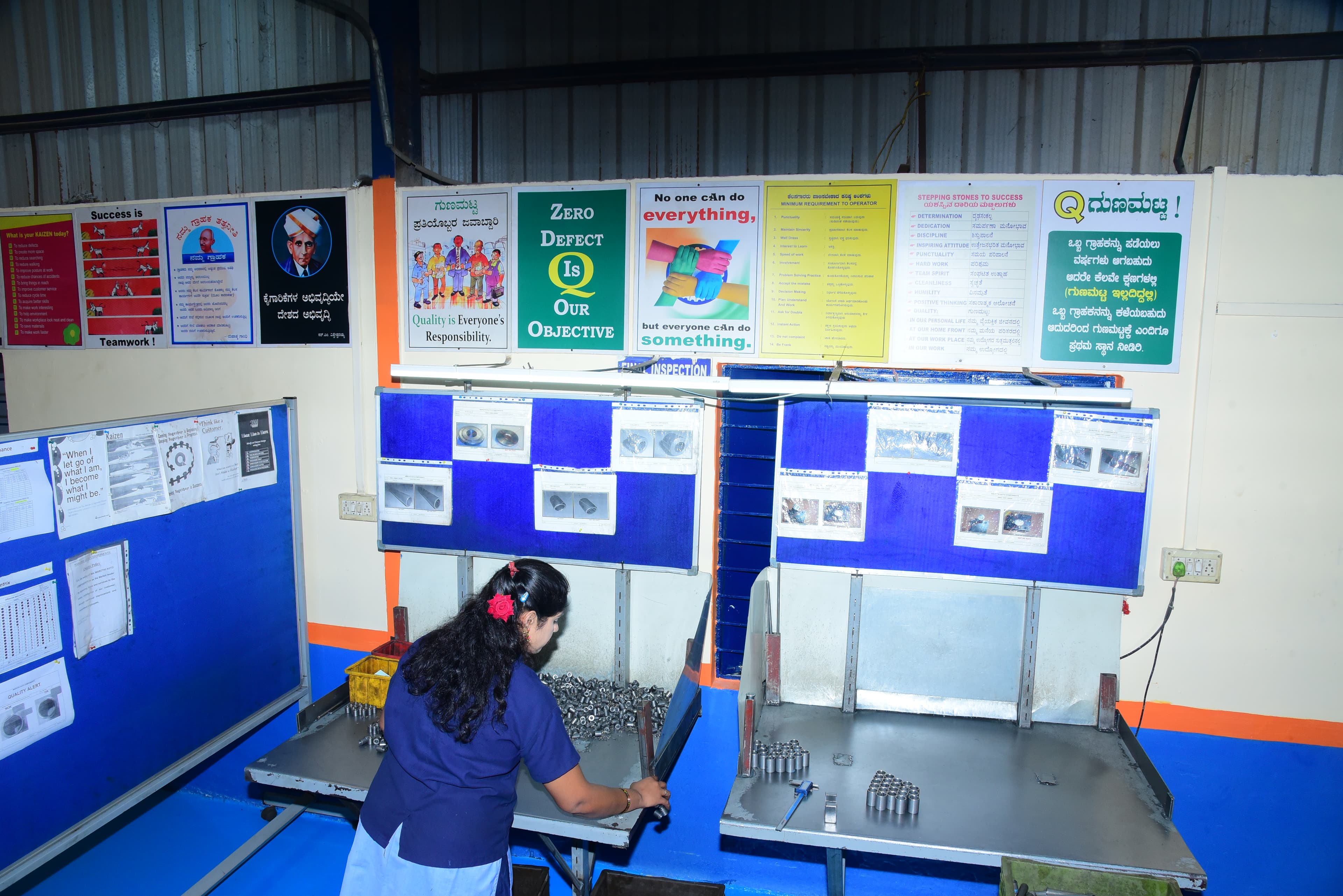 Inspection Area